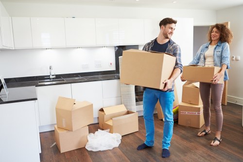 Van service for furniture and box transport in Crystal Palace